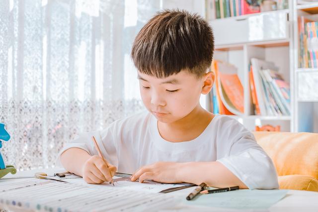 北卡罗莱纳州立大学专业哪个好