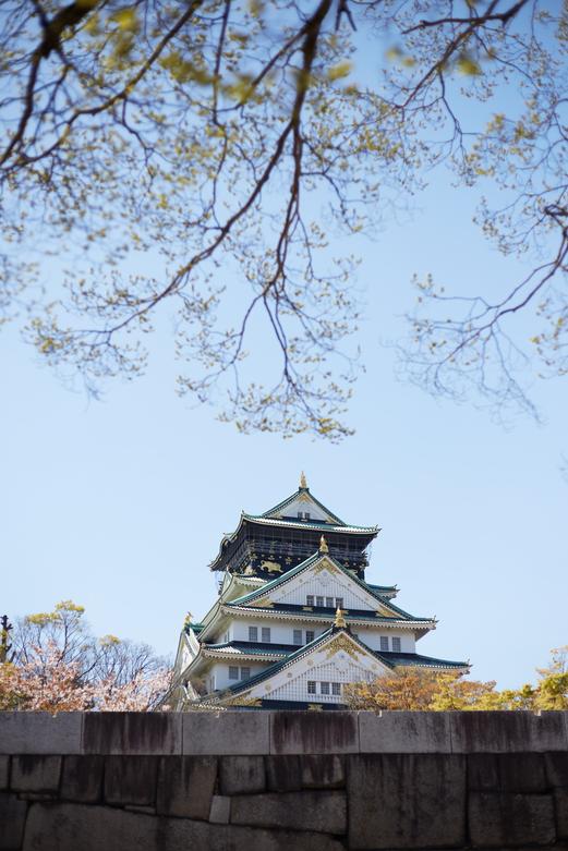 京都教育大学学费大盘点