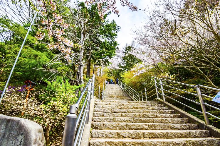牛津布鲁克斯大学学费是多少